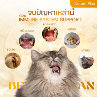 [แท้100%] สเปรย์สมานแผลในปากแมว แผลในปากสุนัข ปากสุนัขเป็นแผล สมานไว ช่วยเสริมสร้างภูมิคุ้มกันสำหรับหมาแมว Nature Plus