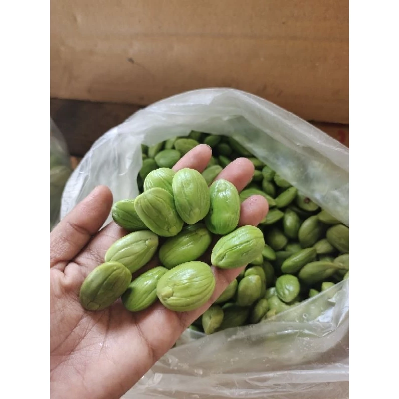 สะตอแกะ สะตอข้าว จ.สงขลา แก่จัด ไม่แช่น้ำ ขนาด 500/1000กรัม