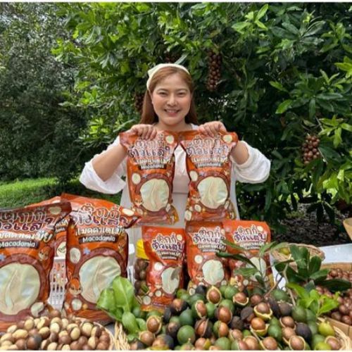 [Flash Sale 1แถม2] แมคคาเดเมีย 1000g+1000g +1000gได้3ถุง ครึ่งโล เม็ดใหญ่ เปลือกบาง เนื้อเยอะ ตุ๊กกี้ตัวแ