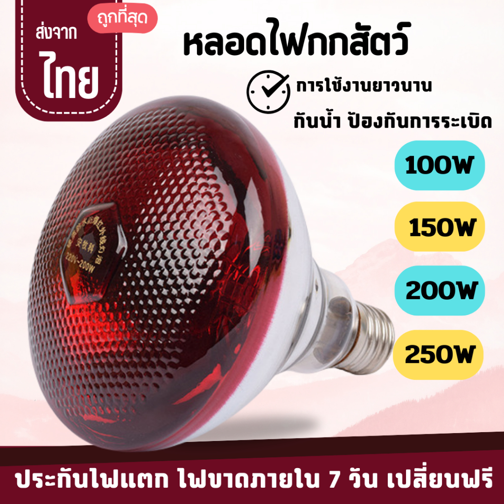 ไฟกกสัตว์ 100W 150W 200W 250W หลอดไฟอินฟาเรด ไฟกกสัตว์ ไฟกกหมู หลอดไฟให้ความอบอุ่นสัตว์