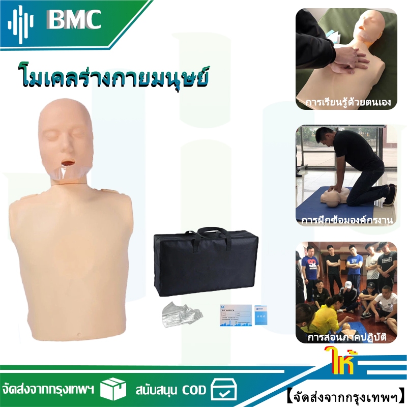 "โมเดลร่างกายมนุษย์ สําหรับการฝึกการกระตุ้นหัวใจและหลอดเลือดจําลอง - หุ่นครึ่งตัว สําหรับการฝึกการหายใจประดิษฐ์ การปฐมพ