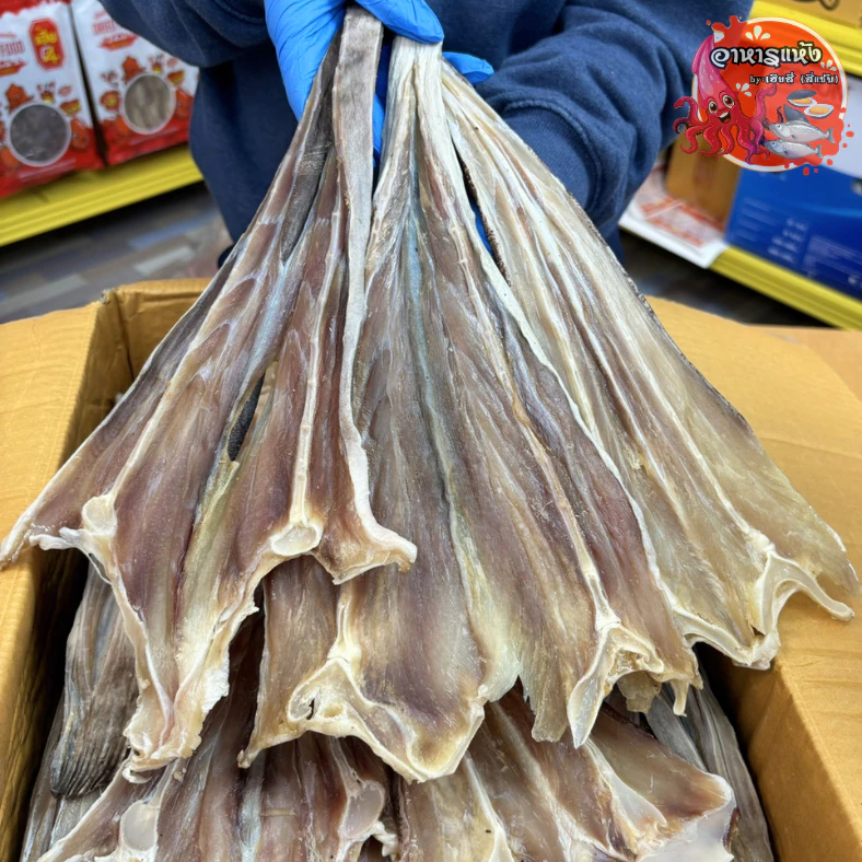 🐠ปลากระเบนคัด ปลายี่สน🐠 ‼ครึ่งกิโล‼ ตากแห้งตัวใหญ่ เค็มกำลังดี เนื้อสวย สดใหม่ทุกวัน