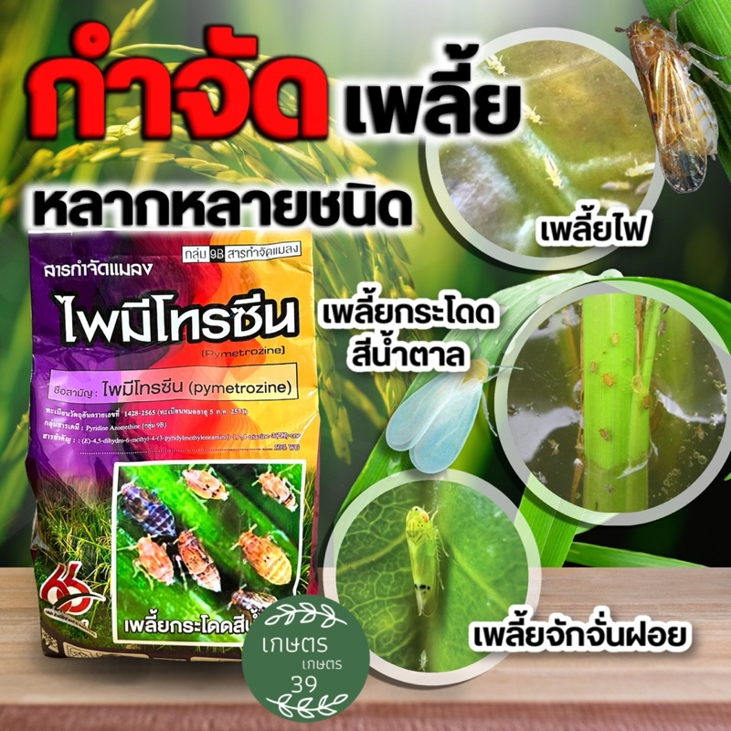 ไพมีโทรซีน (pymetrozine) 50% WG ตราซิกซ์ตี้ซิกซ์