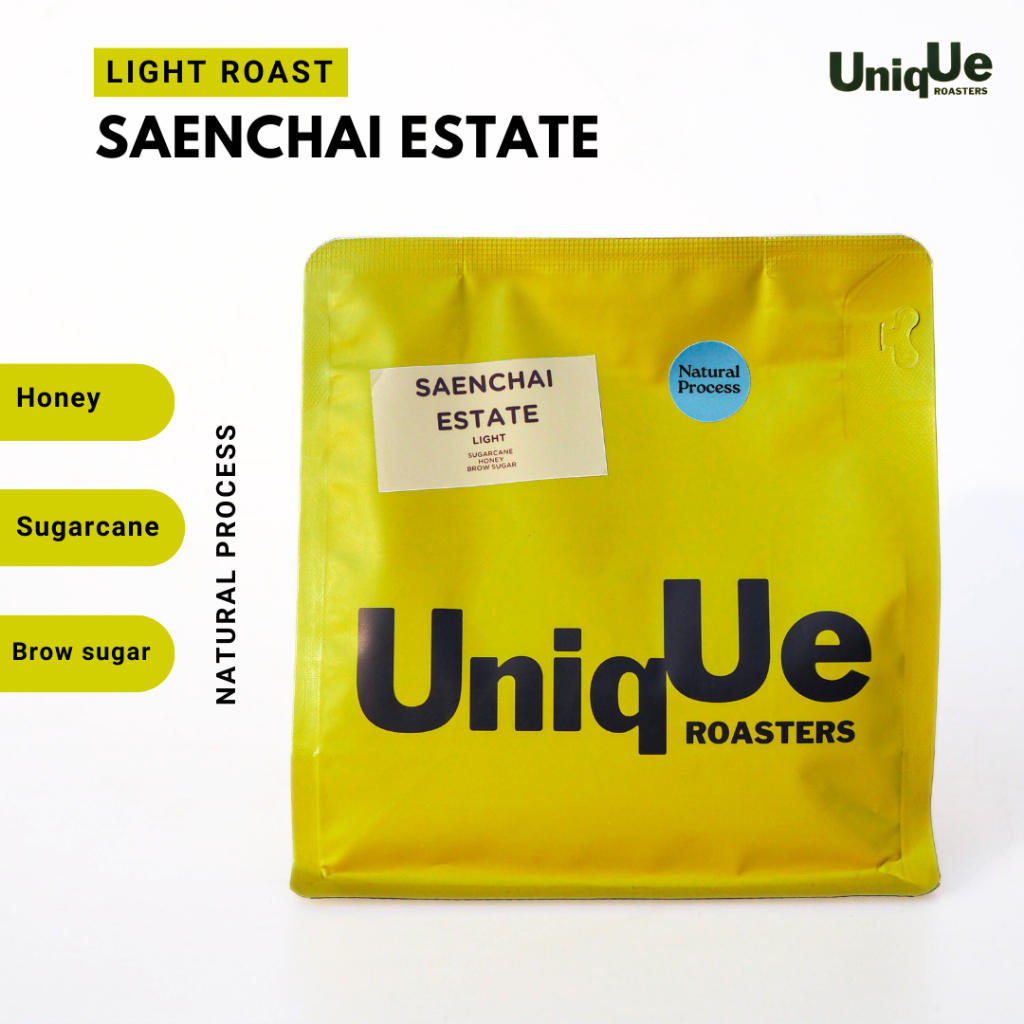 เมล็ดกาแฟไทย คั่วอ่อน - เเสนชัย กัลยานิวัฒนา Saenchai Light Roast จ.เชียงใหม่ (200g.)