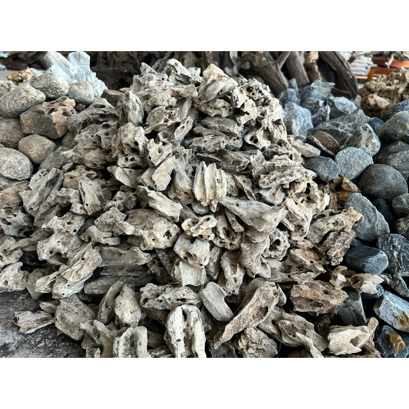 หินรูพรุน หินประดับ หินก้อน ตกแต่งกระถางบอนไซสวย(ไซส์​เล็ก) 3กิโล 100บาท