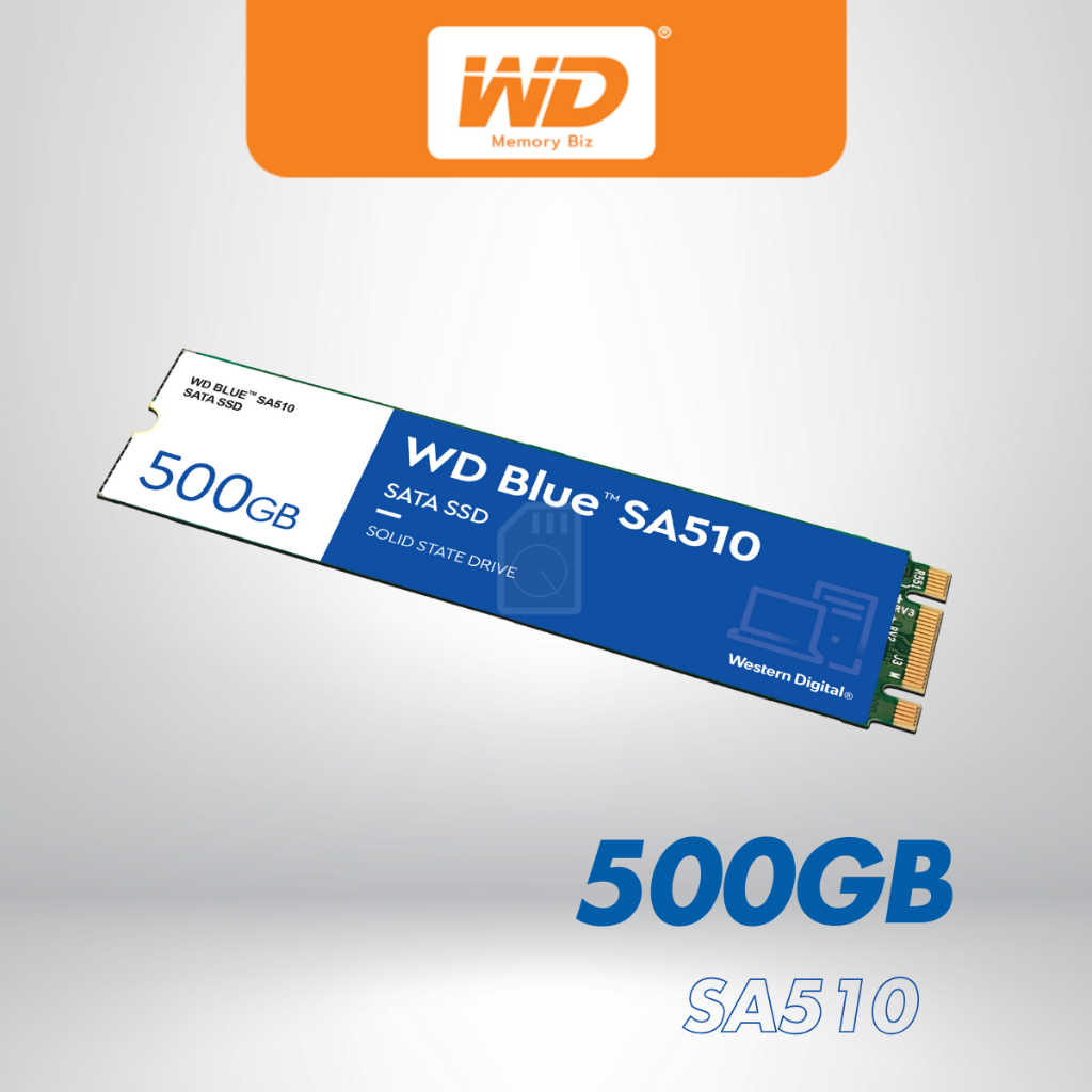 WD Blue SA510 SSD 500GB M.2,SATA 3(6GB/S) - READ560, WRITE 510 WDBLUE WDS500G3B0B เอสเอสดี MemoryBiz