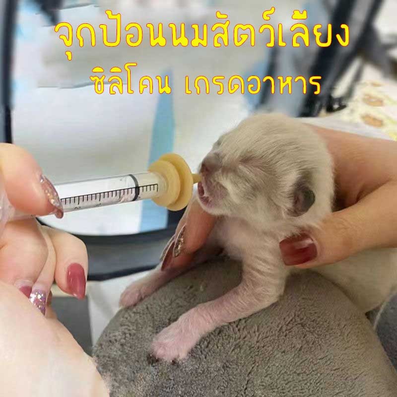 จุดป้อนนมสัตว์เลี้ยง จุกซิลิโคนนิ่มสำหรับป้อนนมสัตว์เล็ก แมว สุนัข หนู แฮมสเตอร์ กระรอก ชินชิลล่า