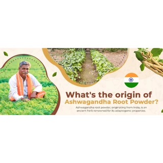 Pure Ashwagandha Root Powder – Ayurvedic Superfood for Wellness & Balance Organic 200 G