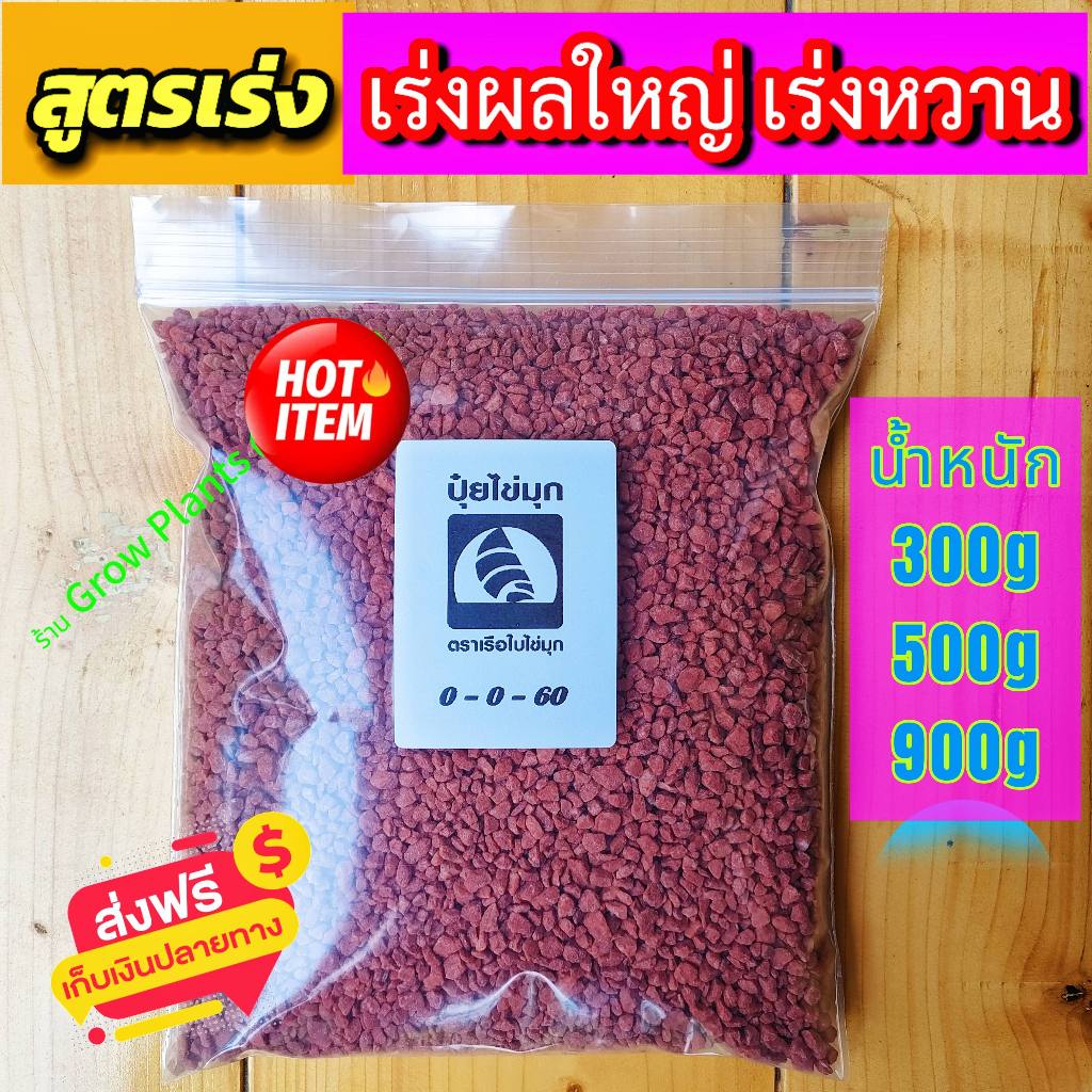 🧧ปุ๋ยสูตร 0-0-60 ปุ๋ยตราเรือใบ ไข่มุก 🥭 สร้างเนื้อ 🍅ขยายผล สร้างแป้ง-น้ำตาล 🍉เพิ่มความหวาน พืชไร่-สวน พืชผัก-ผลไม้