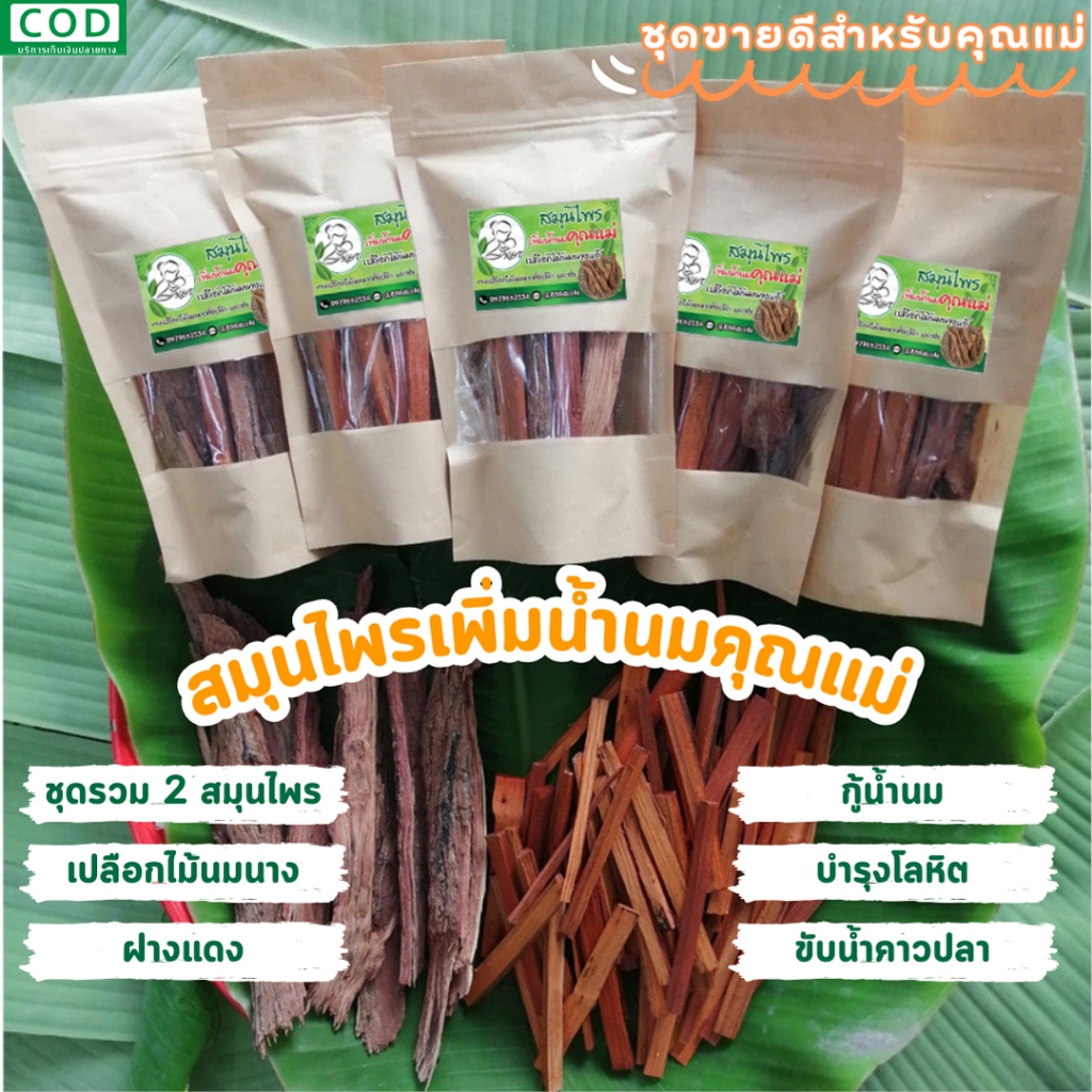 🌱เปลือกไม้นมนาง ฝางแดง​ สมุนไพร​เพิ่ม​น้ำ​นม​คุณแม่​ กู้น้ำนม บำรุงโลหิต ขับน้ำคาวปลา