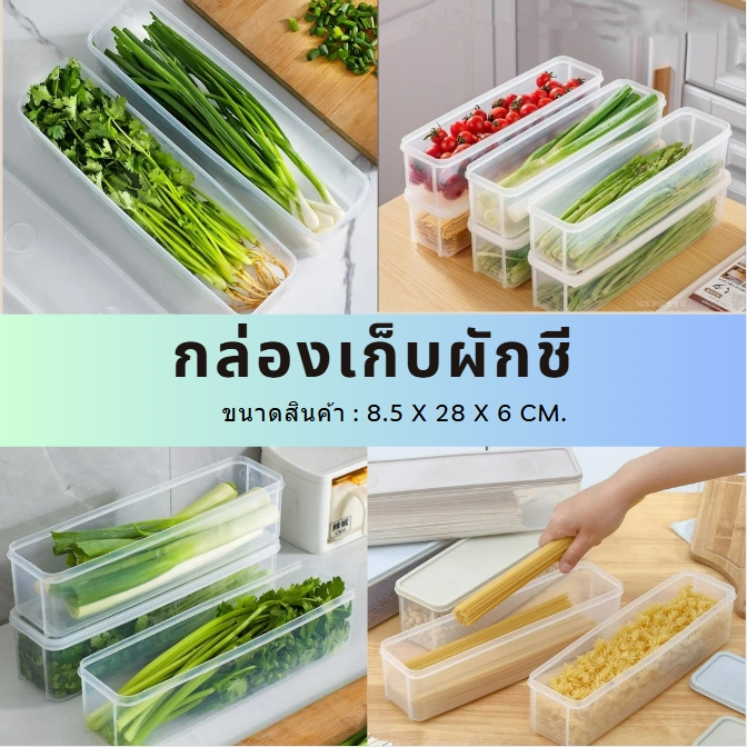 กล่องเก็บผักผลไม้ กล่องถนอมอาหาร เก็บอาหารสด ขนาดใหญ่พร้อมฝาปิด เก็บในตู้เย็นได้ยาวนาน
