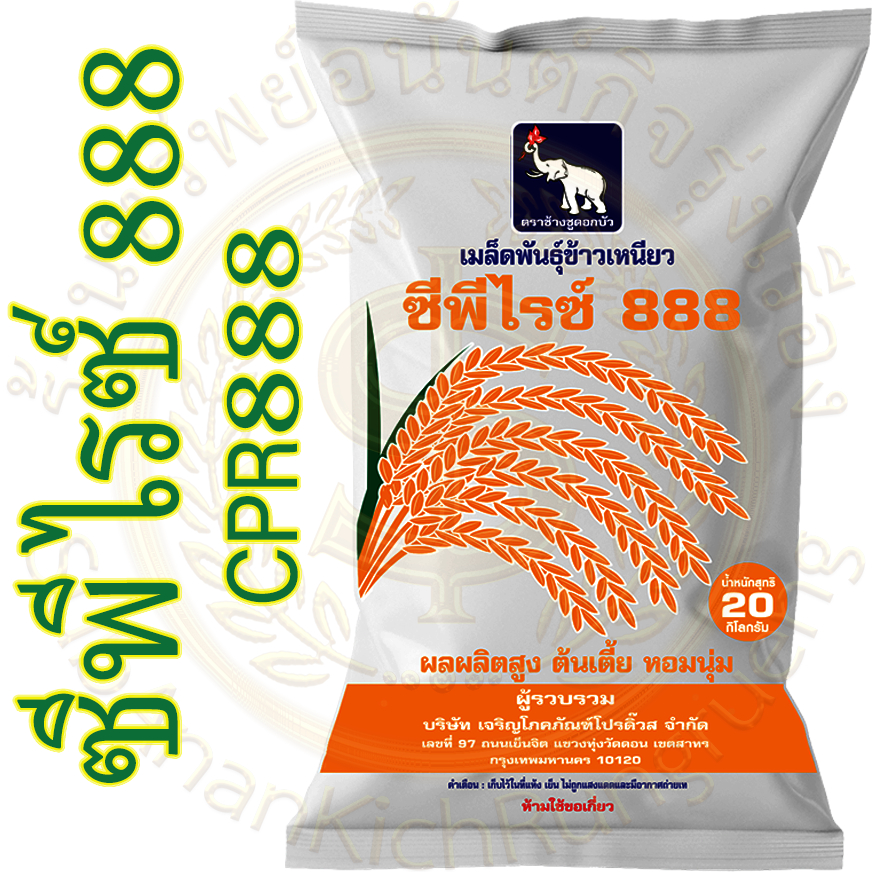 เมล็ดพันธุ์ ข้าวเหนียวหอม CPR 888 ซีพีไรซ์ 888 ล็อตใหม่ บรรจุ 20 กก. (CP888/CPRICE888/GN11)