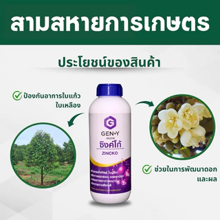 ซิงค์โก้(สังกะสี+กำมะถัน+แมกนีเซียม)ทนหนาว ใบเขียวเข้ม เร่งแตกยอด 1ลิตร