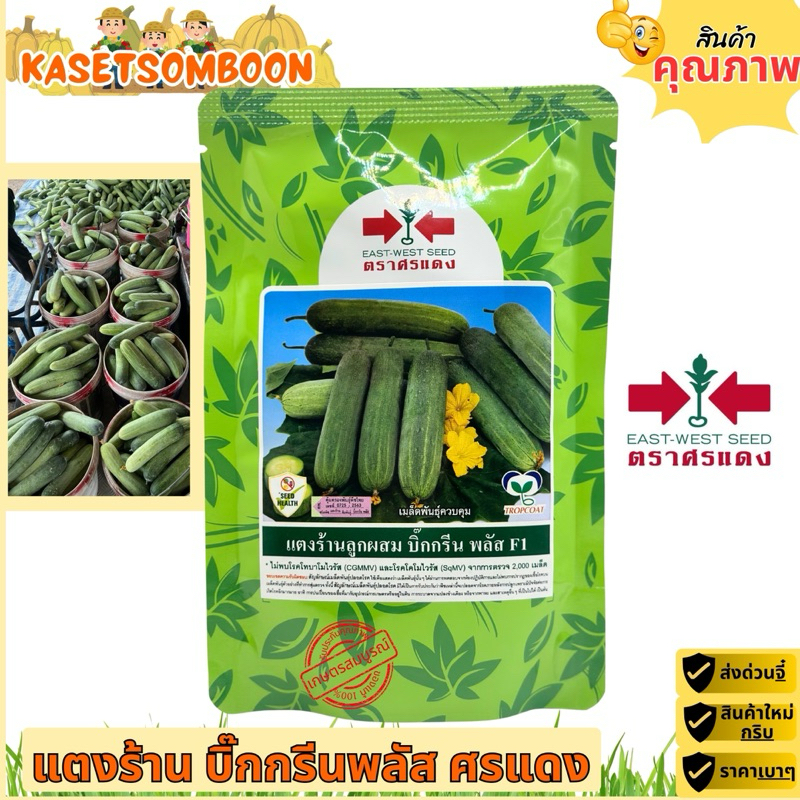 แตงร้านบิ๊กกรีนพลัส F1 เมล็ดพันธุ์ 100 ก. ตรา ศรแดง