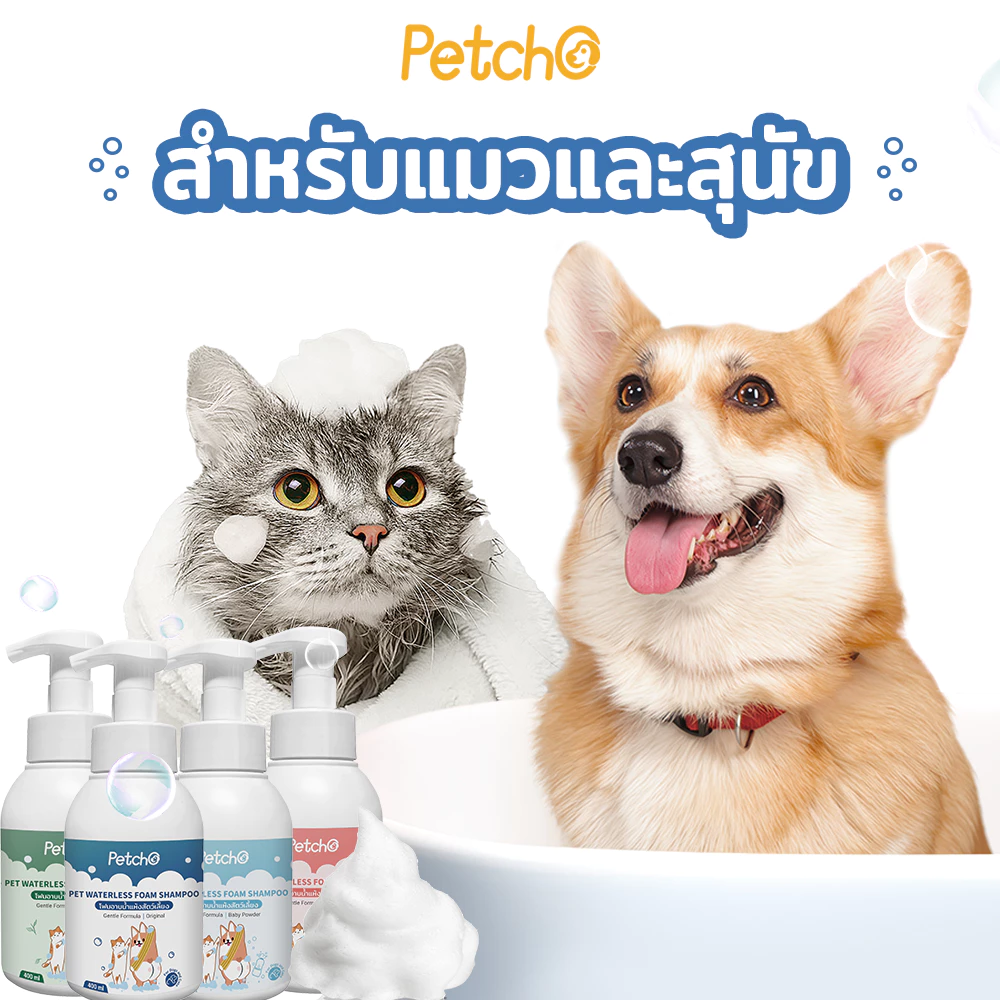 Petcho โฟมอาบน้ำแห้ง แชมพูแมว-สุนัข กลิ่นหอม สูตรอ่อนโยน thumbnail 10