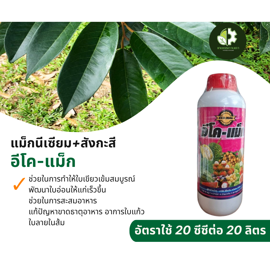 อีโค-แม็ก (แม็กนีเซียม+สังกะสี ขนาด 1 ลิตร) ช่วยในการทำให้ใบเขียว ช่วยในการสะสมอาหาร