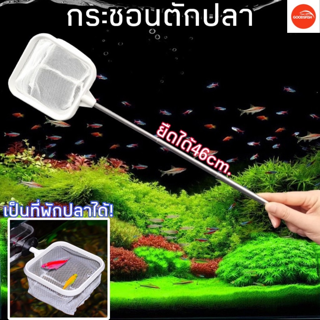 กระชอนตักปลา ด้ามยืดหดได้ ทำเป็นที่พักปลา ด้ามสแตนเลส กระชอนตักปลา2in1
