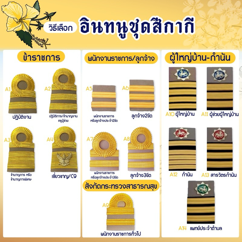 ตัวเลือกอินทนูชุดสีกากี