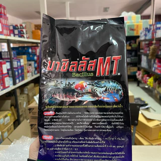 บาซิลลัส ซับทิลิส MT (Bacillus Subtilis) ขนาดบรรจุ 1กก. เป็นจุลินทรีย์ย่อยเลน สารแขวนลอย และของเสียในบ่อกุ้งและปลา