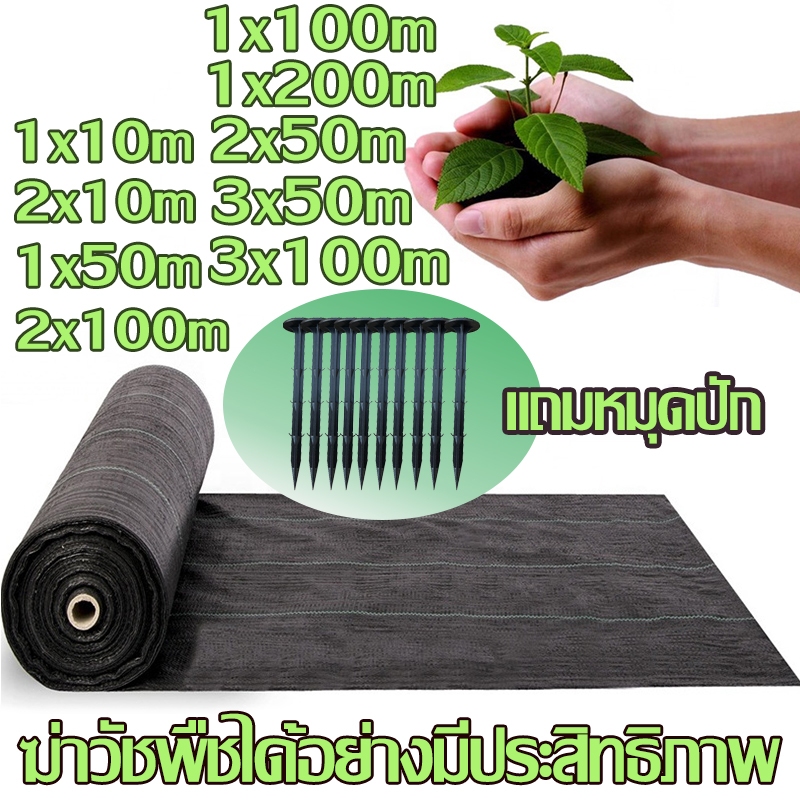 【หญ้าตายแล้วจริงๆ】【ฟรี ตะปูพื้น 10 อัน】 ผ้าคลุมหญ้า พลาสติกคลุมวัชพืช คลุมวัชพืช 2x50/2x100/3x100m ม