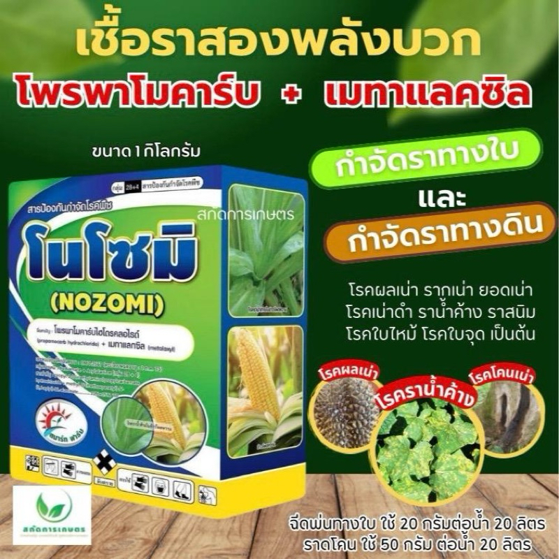 โนโซมิ เชื้อรา โพพาโมคาร์บ+เมทาแลคซิล ขนาด 1 กก ใบไหม้ ใบจุด ราน้ำค้าง ราสนิม รากเน่าโคนเน่า เน่าคอดิน ได้ทางใบและดิน