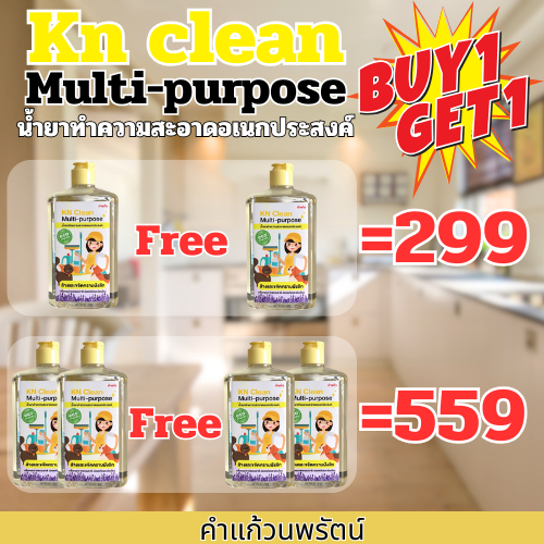 น้ำยาทำความสะอาดอเนกประสงค์ออร์แกนิค KN CLEAN MULTIPURPOSE