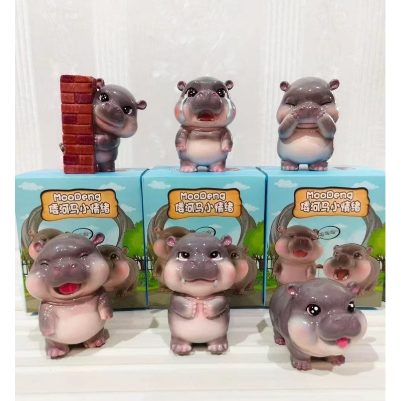 พร้อมส่งจากไทย ยกbox หมูเด้ง Moodeng 1box6จุ่ม