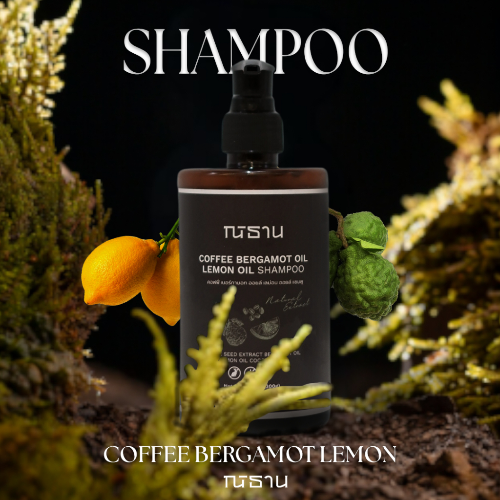 NITAN Coffee Bergamot Lemon Oil Shampoo