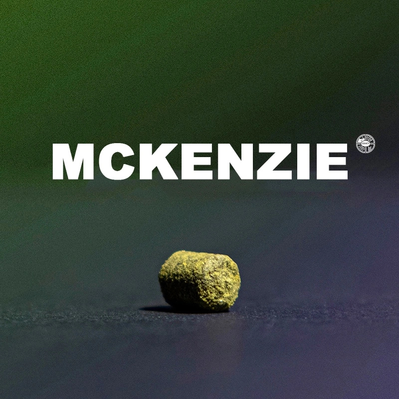 ฮอป ทำเบียร์ McKenzie Hops T90 แบรนด์ Haas (57g. , 28g.) Crop 2023