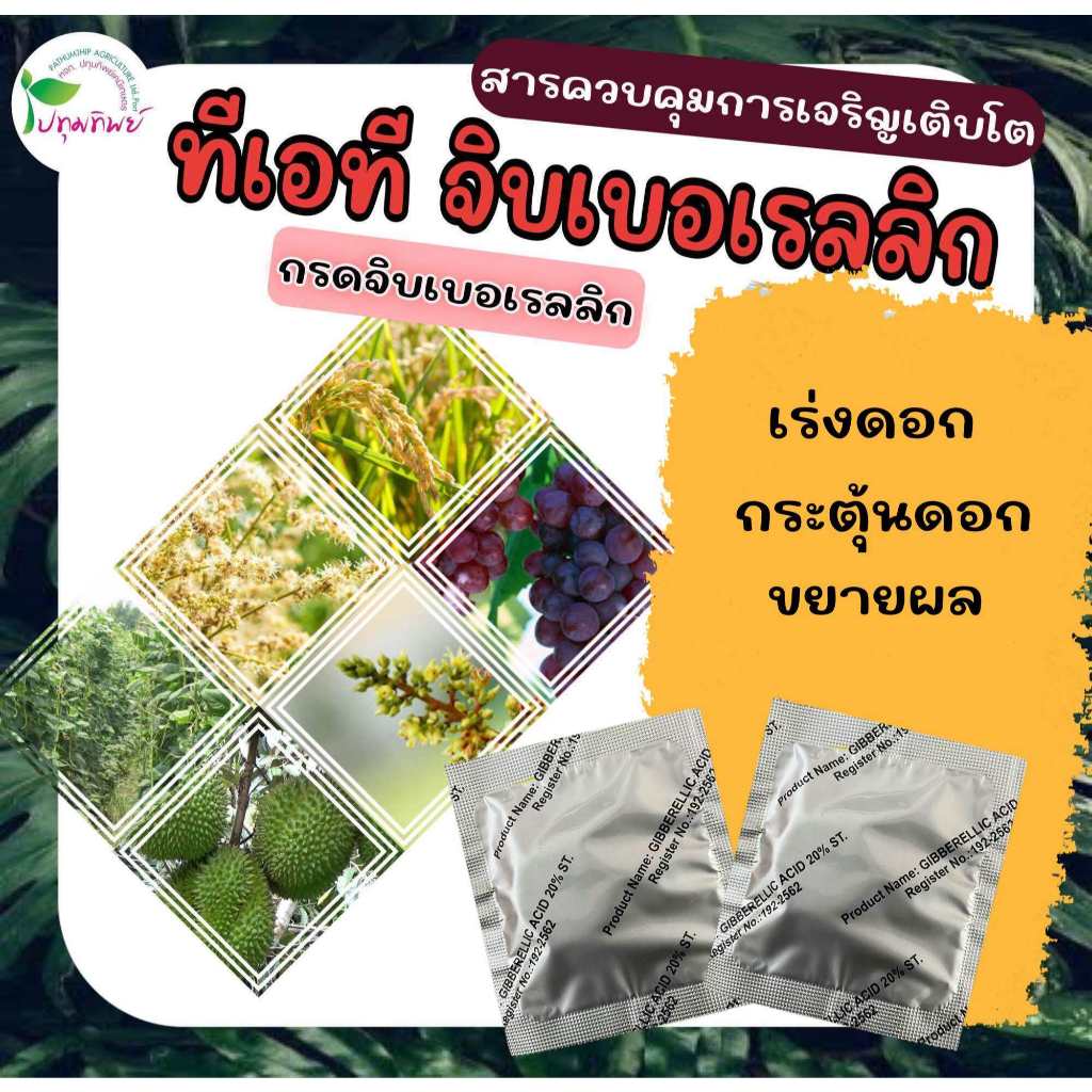 ทีเอที จิบเบอเรลลิก (กรดจิบเบอเรลลิก) ขนาด 50 กรัม (ยกกล่อง 10 เม็ด) สารควบคุมการเจริญเติบโตของพืช ยืดช่อดอก ยืดขั้วผล