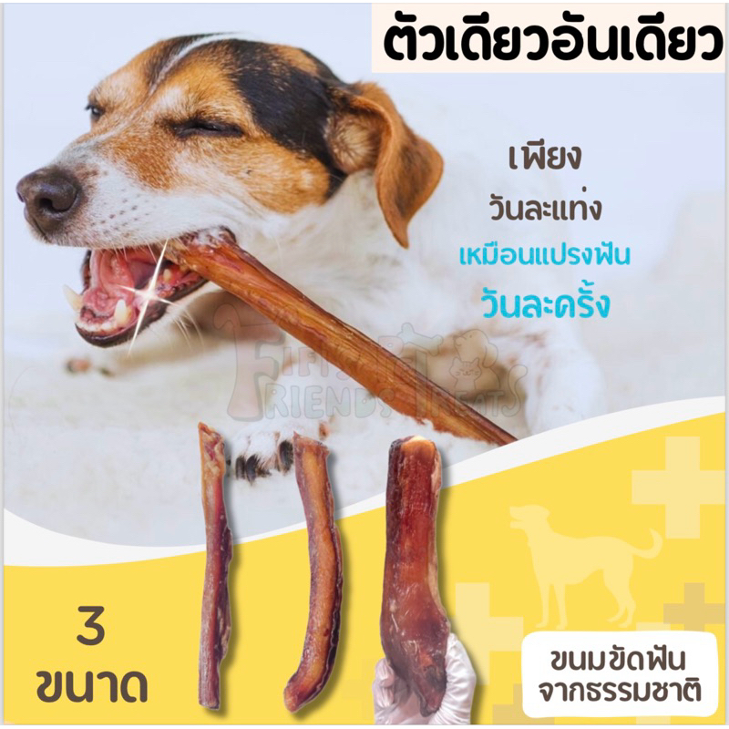 bully stick ตัวเดียวอันเดียววัวอบแห้ง ขนมหมา ขนมขัดฟันสุนัข ขัดฟัน ลดหินปูน
