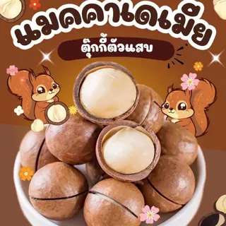 (ส่งไว)1แถม1 ถุงละ250g. แมคคาเดเมีย เม็ดใหญ่ เปลือกบาง เนื้อเยอะ ตุ๊กกี้ตัวแสบ