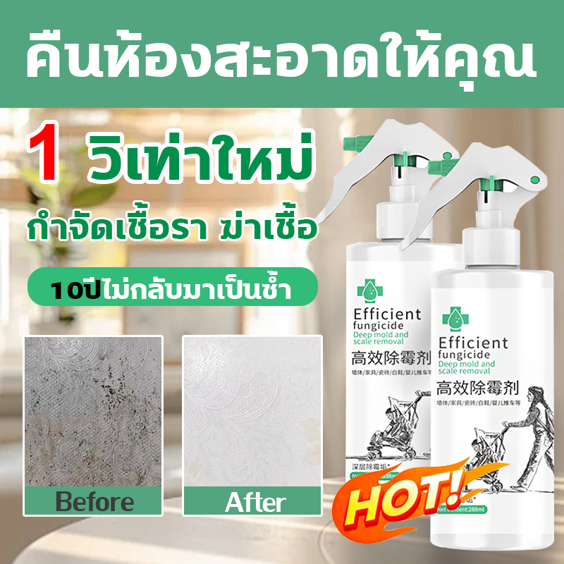 Efficient อัตราการฆ่าเชื้อ＞99.99% สเปรย์กำจัดเชื้อรา น้ำยาฆ่าเชื้อรา น้ำยากำจัดเชื้อราผนัง ขจัดเชื้ออราอย่างรวดเร็ว