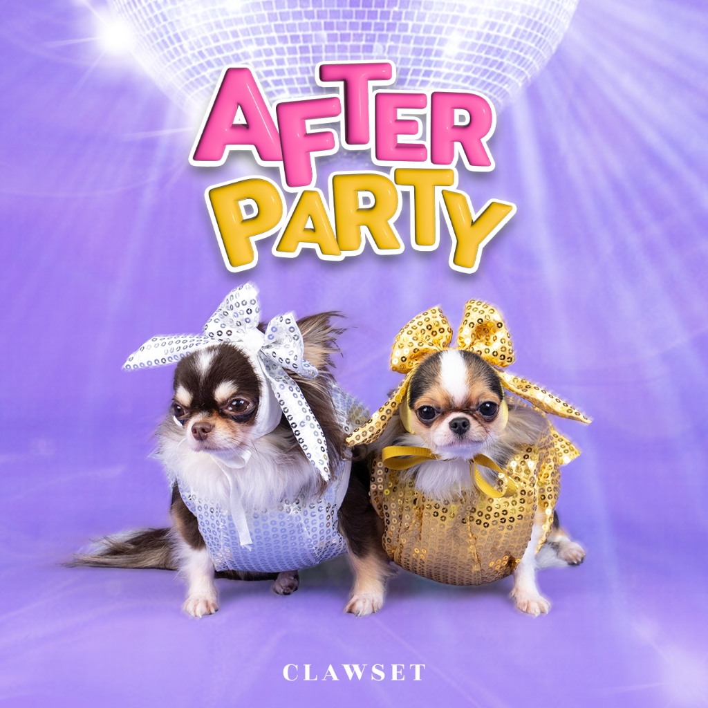 ชุดแฟนซีหมาแมว After Party เปลี่ยนสัตว์เลี้ยงเป็นดิสโก้บอล | Clawset.bkk