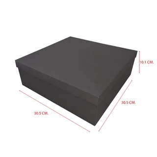 RC603 กล่องจั่วปัง ทรงฝาครอบ ขนาด 30 x 30 x 10 ซม. (ฝาสูง 2.5 ซม.)