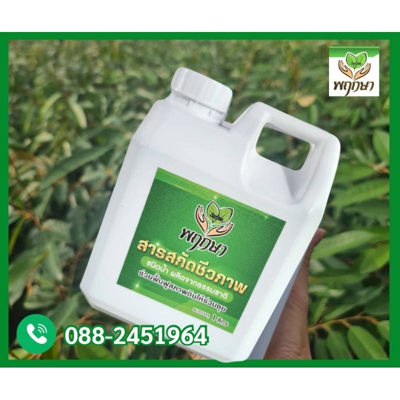 ปุ๋ยเร่งการแตกยอด สกัดจากชีวภาพของแบรนด์พฤกษาสูตรบำรุงใบ.ต้น.ราก