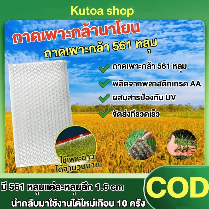 ถาดเพาะกล้านาโยน แพ็ค 100-500 ชิ้น 561 หลุม ถาดนาโยน ถาดเพาะกล้า ถาดเพาะต้นข้าว ถาดเพาะนาโยน หลุมแต่ละหลุมลึก1.6 cm