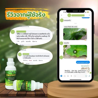 จีฟอร์ซวัน ยาจับใบ สูตรใหม่ น้ำยาสีเขียวอ่อน จับใบ เกาะติดใบ สารจับใบอย่างดี ยาจับใบ ขายดี
