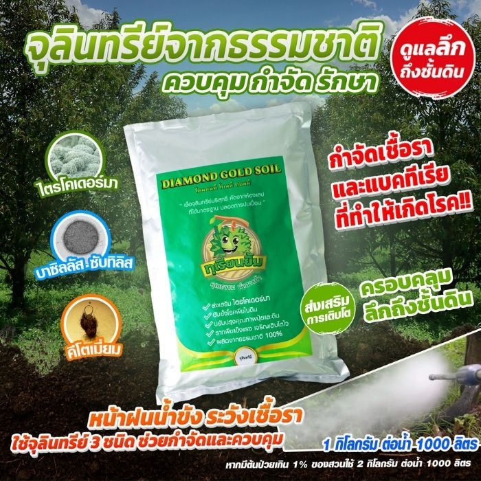 ไดมอนด์ โกลด์ ซอลย์ จุลิยทรีย์ 3 ชนิด กำจัด ป้องกัน รักษาโรค