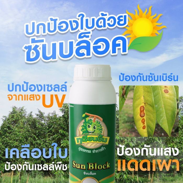 ซันบล็อค เคลือบใบป้องกันซันเบิร์น ปกป้องใบจากแสงแดด