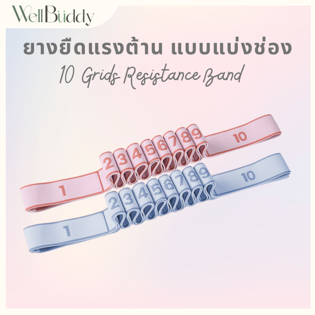 WellBuddy เชือกโยคะแบบมีแรงต้าน มีช่อง 10 ช่อง (10 Grid Stretch Band)