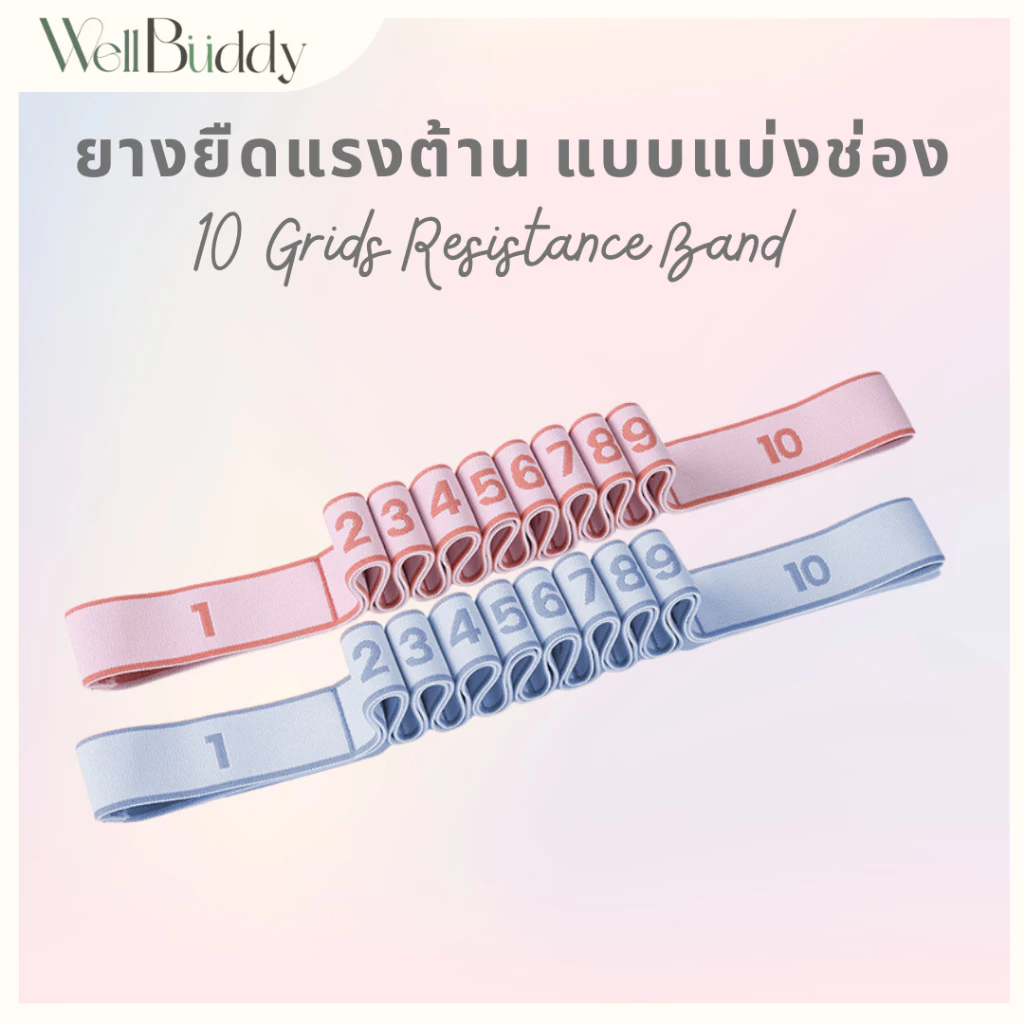WellBuddy เชือกโยคะแบบมีแรงต้าน มีช่อง 10 ช่อง (10 Grid Stretch Band)