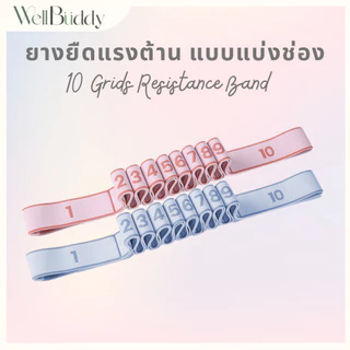 WellBuddy เชือกโยคะแบบมีแรงต้าน มีช่อง 10 ช่อง (10 Grid Stretch Band)