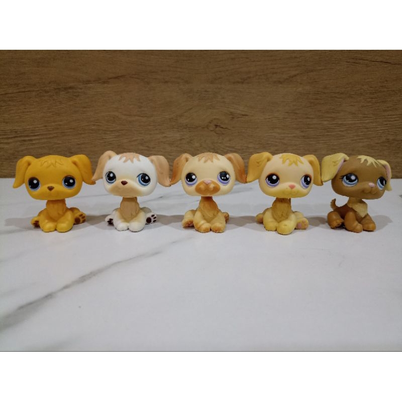 ตัวเล่น lps ของแท้ #littlest pet shop#lps
