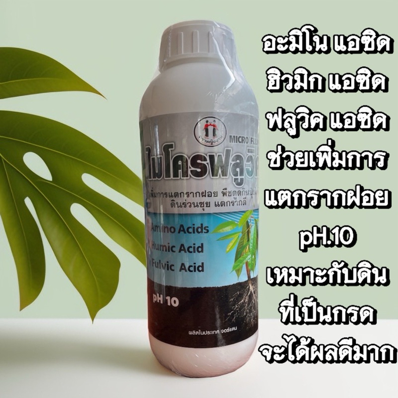 ไมโครฟลูวิค 1 ลิตร ตราหญิงงาม กระตุ้นการแตกรากได้ดีได้ผลรวดเร็วในพื้นที่ดินเป็นกรด
