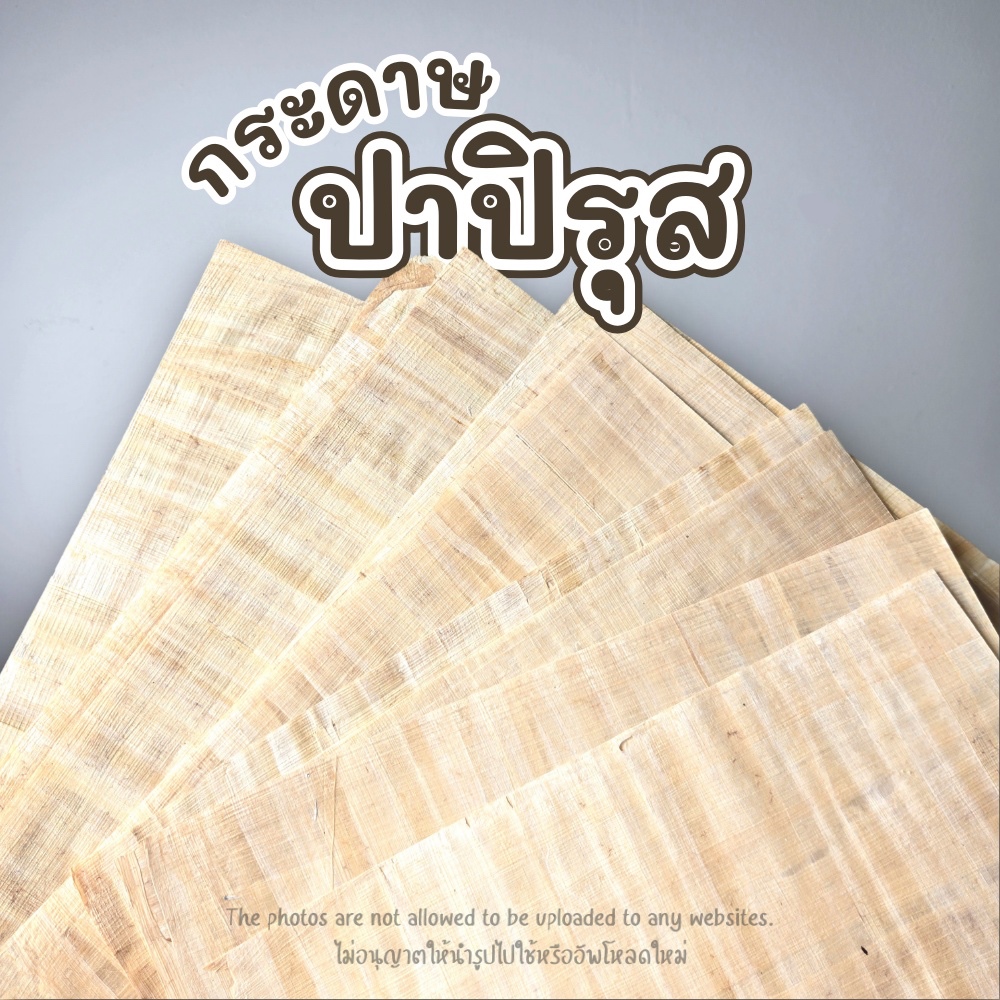 กระดาษปาปิรุส แท้จากประเทศอียิปต์ Papyrus กระดาษอียิปต์แบ่งขาย สื่อการสอน