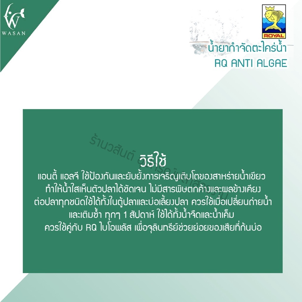 กำจัดตะไคร่น้ำเขียว RQ ANTI ALGAE ขนาด 250-1000 cc.