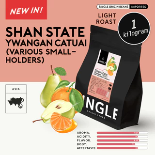 เมล็ดกาแฟคั่วอ่อน Shan State Ywangan Catuai (Various Smallholders)