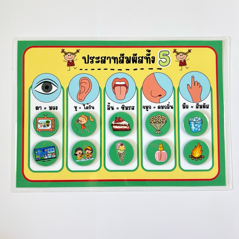 “ประสาทสัมผัสทั้ง 5” สื่อการสอนวิทยาศาสตร์