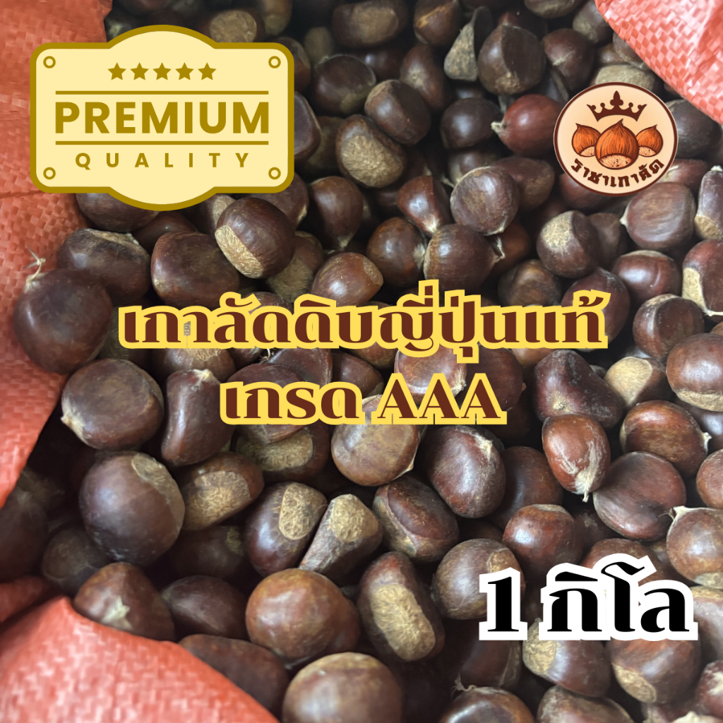 [ราชาเกาลัด] เกาลัดดิบ เกรดAAA เรื่องเกาลัดต้องมาที่เรา 1 กิโลกรัม